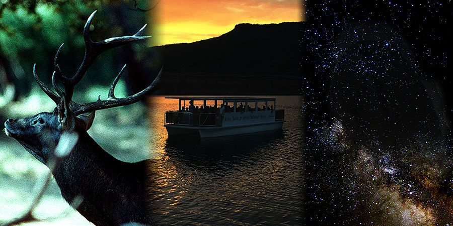 Ruta en barco para observación astronómica y escucha nocturna de la fauna silvestre