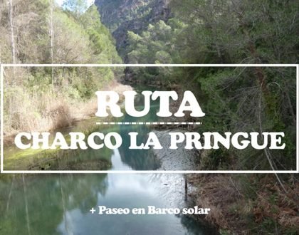 Ruta del Charco de la Pringue en el Guadalquivir