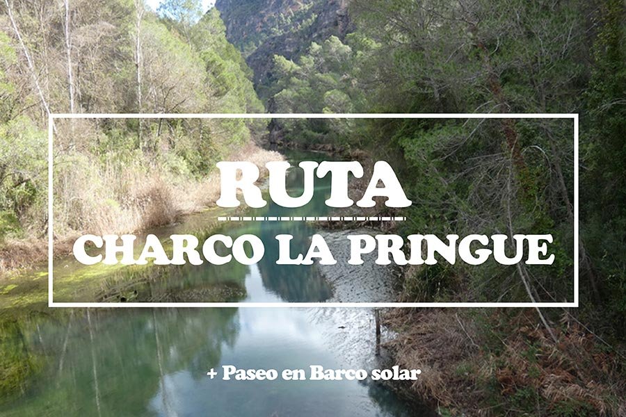 Ruta del Charco de la Pringue en el Guadalquivir
