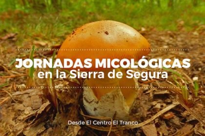 Jornadas Micológicas en el Tranco